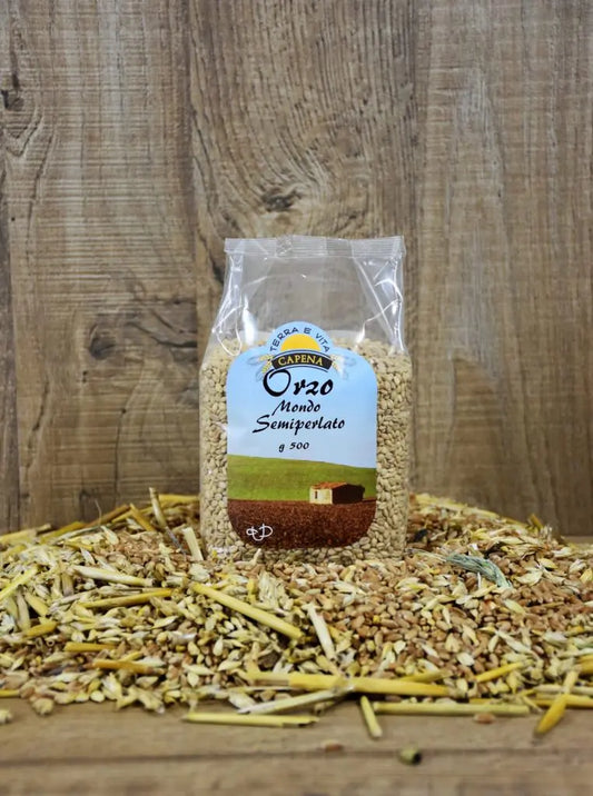 Orzo